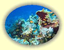 IMG_2007_05_29 14_11_12 * 3072 x 2304 * (1.21MB)
